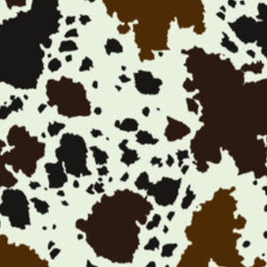 Meet your Posher, Sophia